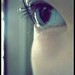 So Tam Photo 5
