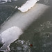 Linda Maples Photo 17