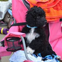 Nancy Griffiths Photo 26