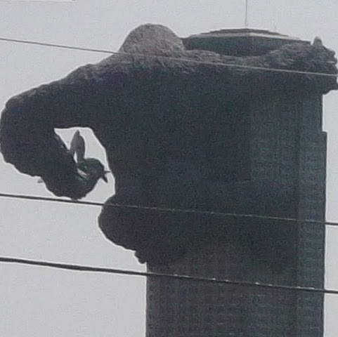 Justin Guthrie Photo 8