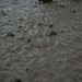 Colleen Wilkinson Photo 31