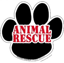 Vicki Stafford Photo 8