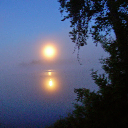 Stacey Burns Photo 24