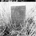 Burley Harris Photo 8