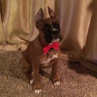 Cathy Estes Photo 13