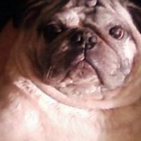 Daniel Treadway Photo 12