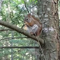 Angie Riley Photo 21