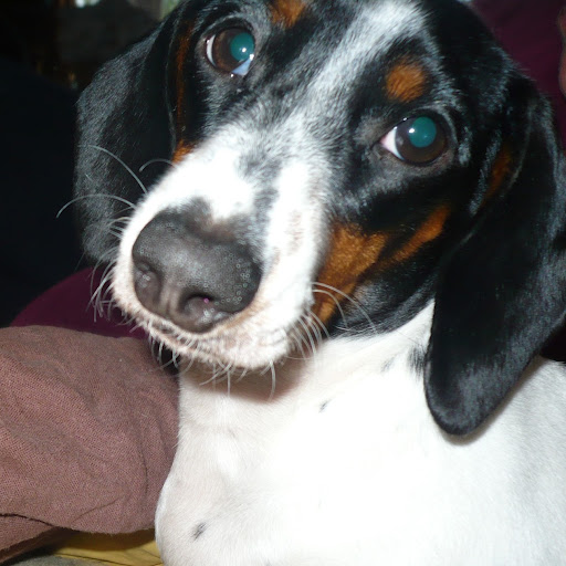 Jamie Tyler Photo 18