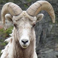 Stephanie Roland Photo 33