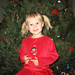 Douglas Reese Photo 7
