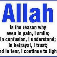 Joshua Jack Photo 13