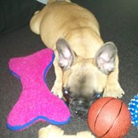 Bruce Walker Photo 20 Bruce Walker Photo 20