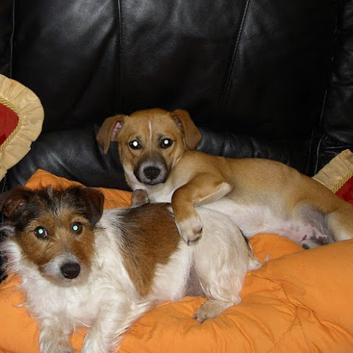 Barbara Jennings Photo 21