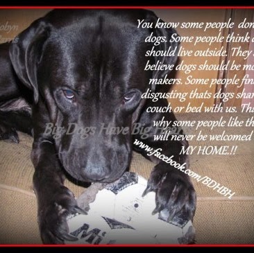 Tonya Walker Photo 17