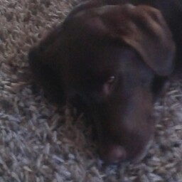Katie Skelton Photo 9