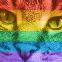 Kimberly Cochran Photo 15