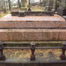 Jane Coley Photo 25