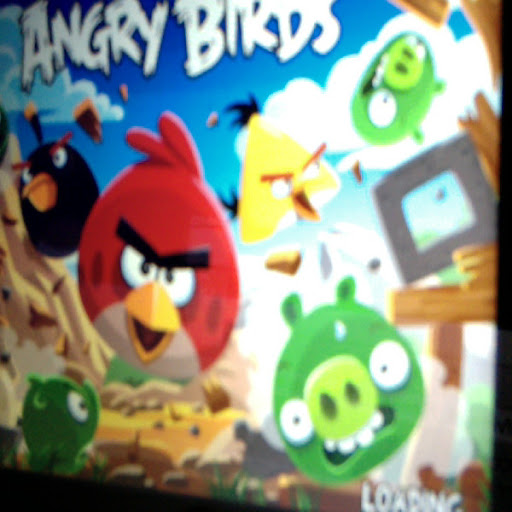 Brendan Fletcher Photo 33