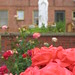 Lawrence Rose Photo 17