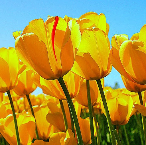 Christopher Barron Photo 33