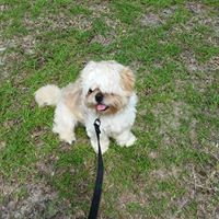 Alexander Stevenson Photo 8