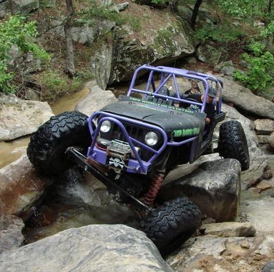 Rick Curtis Photo 39