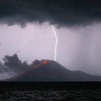 Sherry Foreman Photo 10