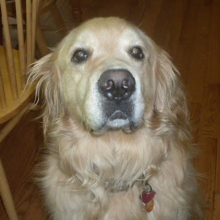 Cathy Miller Photo 26