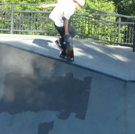 Michael Meadows Photo 12