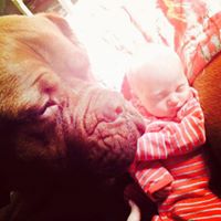 Crystal Schaefer Photo 18