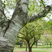 Paul Lang Photo 36