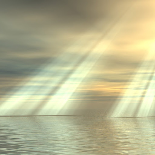 Shamsul Arefin Photo 23