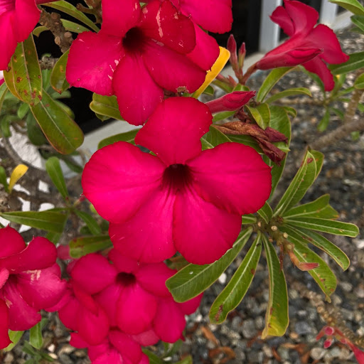 Vicky Wells Photo 13