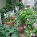 Nancy Reimer Photo 14