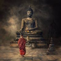 Nghia Cao Photo 18