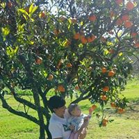 Julie Wirth Photo 13