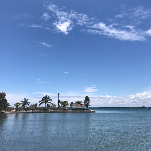 Julia Griffin Photo 38