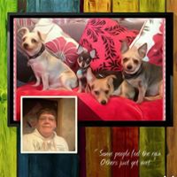 Janice Woodward Photo 13