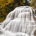Robert Low Photo 27