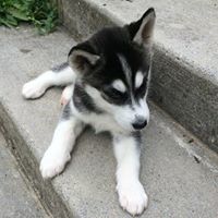 Andrew Haberman Photo 22