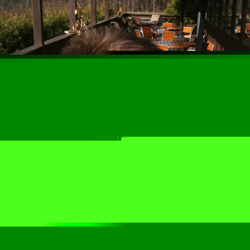 David Whiting Photo 21