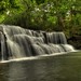 Lori Mills Photo 8