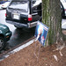 Robin Dobbs Photo 22