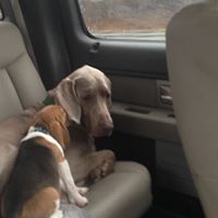 Sandy Curtis Photo 29