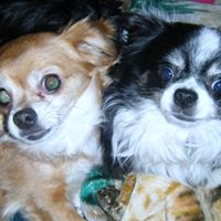 Brenda Shepard Photo 37