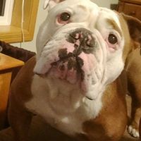 Teresa Petersen Photo 19