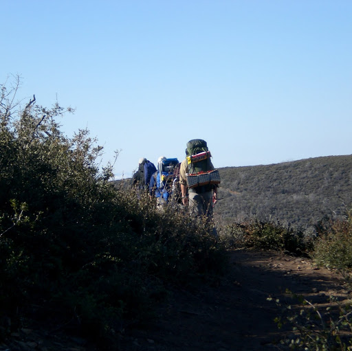 David Riley Photo 29