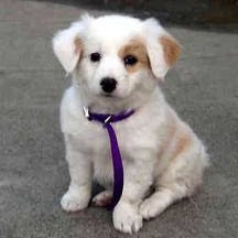 Jayne Middleton Photo 21