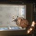 William Swarts Photo 9