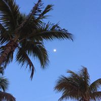 Kathy Pratt Photo 35